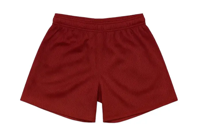 Mesh Shorts
