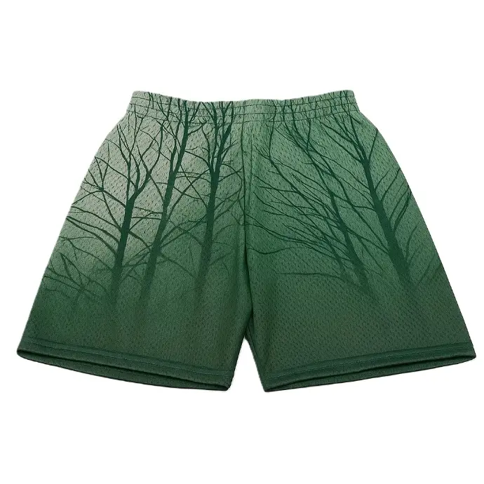 Mesh Shorts