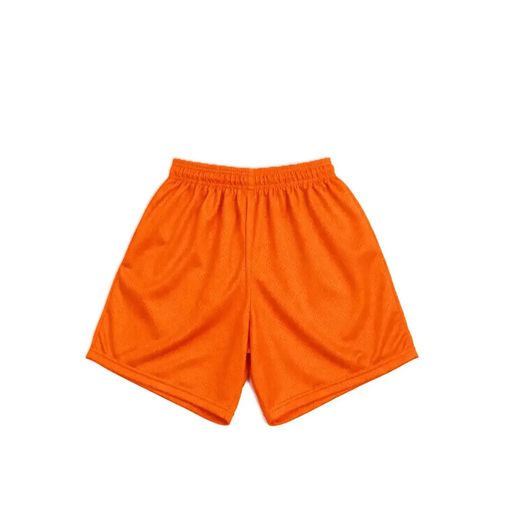 Classic Mesh Sports Shorts