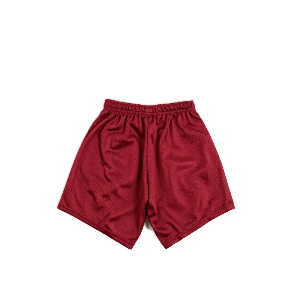 Classic Mesh Gym Shorts