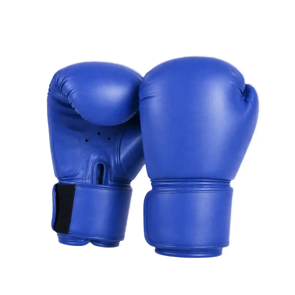Classic Training Boxing Gloves