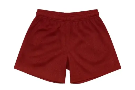 Mesh Shorts