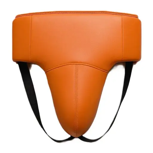 Groin Protector