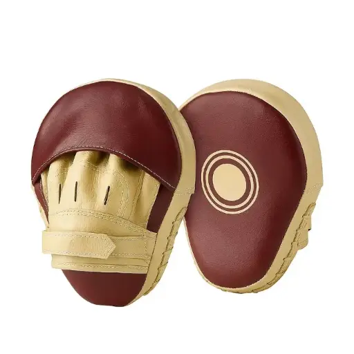 Leather Focus Mitts