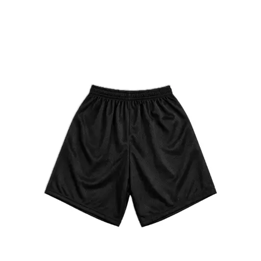 Training Mesh Shorts