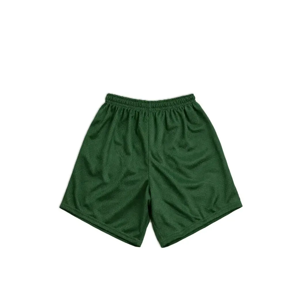 Classic Mesh Sports Shorts