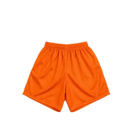 Classic Mesh Sports Shorts