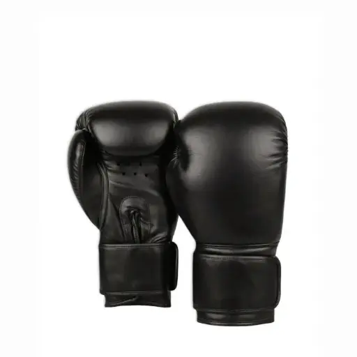 Classic Black Training Boxing Gloves