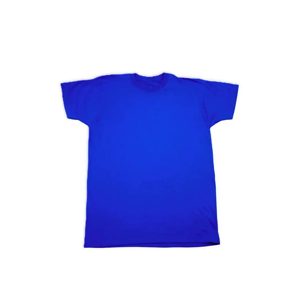 Blank Crew Neck T-Shirt – Royal Blue