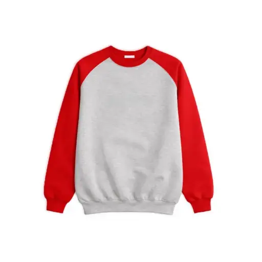 Two-Tone Raglan Sweatshirt